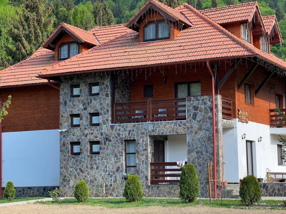 Pensiunea Pietrosul Rodnei Moisei Exterior foto