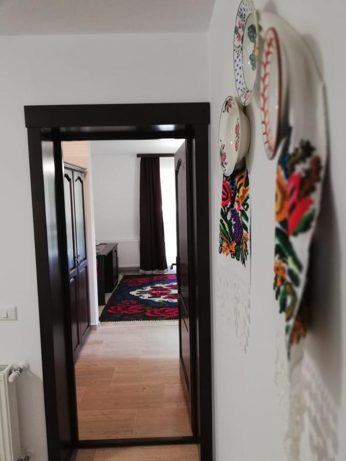 Pensiunea Pietrosul Rodnei Moisei Exterior foto