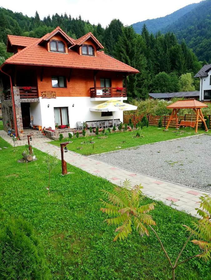 Pensiunea Pietrosul Rodnei Moisei Exterior foto